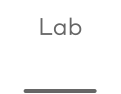 Lab